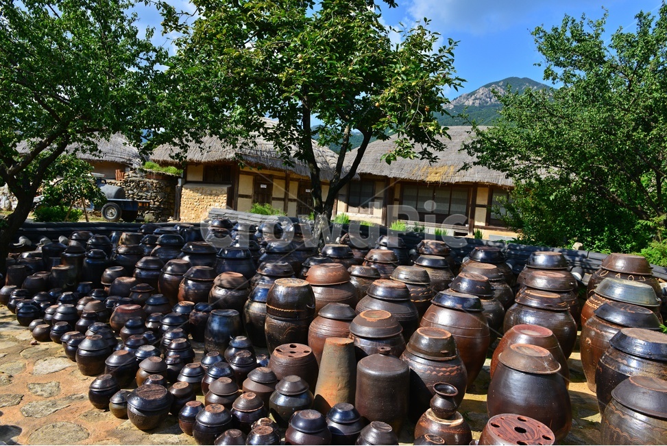plant,식물,nature,자연,outdoors,옥외,순천,낙안읍성,항아리,옹기,초가집,하늘,구름,나무