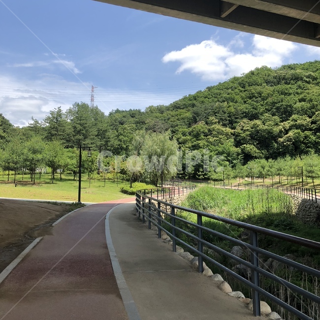 공원,풍경,숲,나무,날씨좋음,자연,풍경,nature,landscape,railing,난간