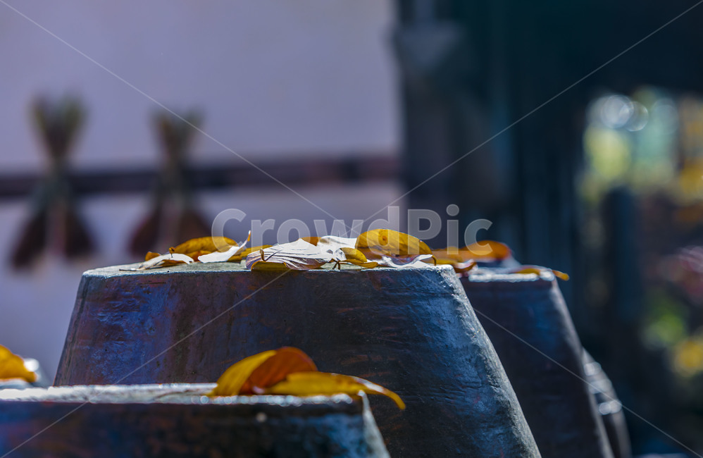 가을,낙엽,단풍,장독대,항아리,무늬,감성,장독,독,옹기,가을,계절,fall,autumn,season,leaf,잎,plant,식물