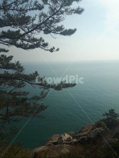 나무,수평선,바위,바다,경치,자연,풍경,nature,landscape,outdoors,옥외,tree,plant,식물,water,물
