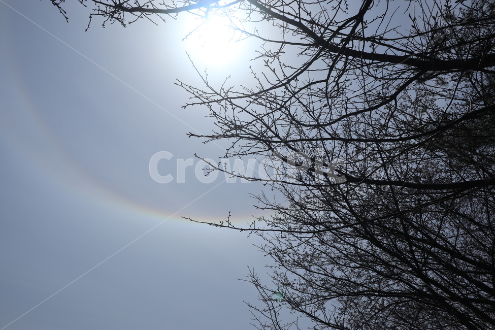 무지개,하늘,레인보우,rainbow,sky