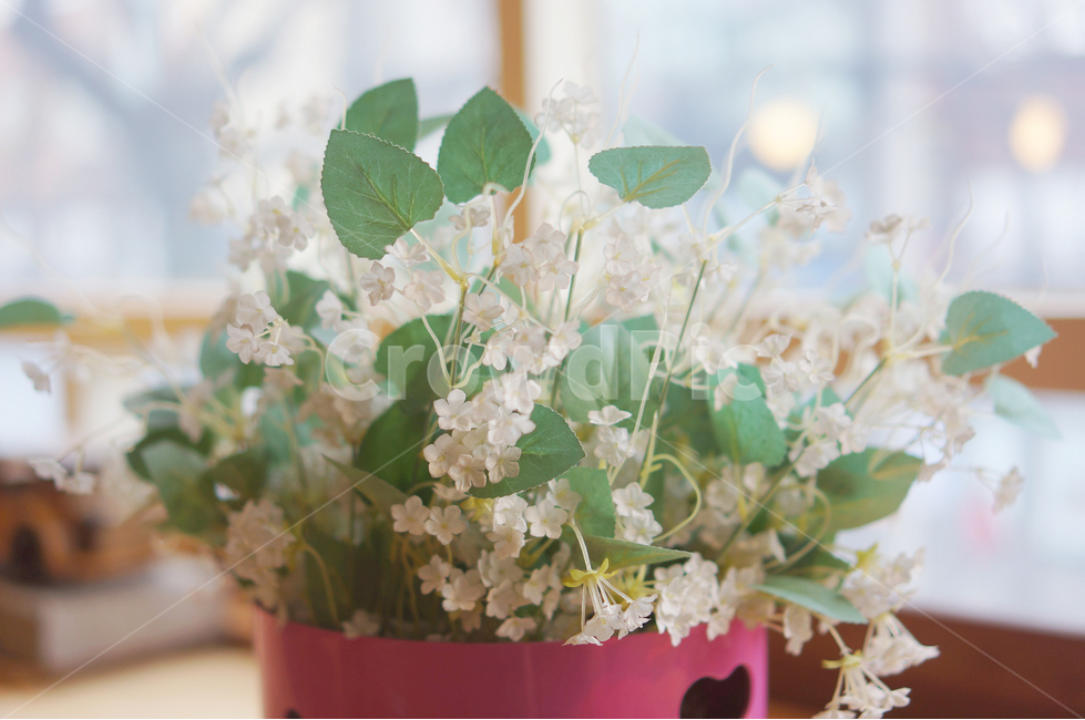꽃,조화,화분,창가자리,장식,꽃,flower,실내용화초,화분,화초,house plant