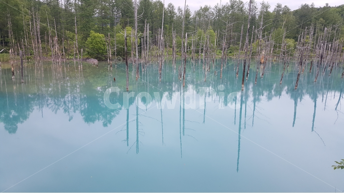 삿포르,삿뽀르,홋카이도,청의호수,일본,폭포,경관,자연,비경,자연,풍경,nature,landscape,해외,외국,세계,foreign,oversea,world,세계자연풍경,해외자연풍경,외국자연풍경,world nature landscape,land,땅,outdoors,옥외,water,물