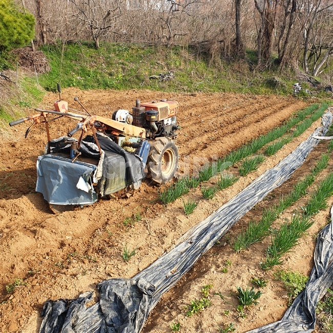 ground,life,soil,흙,텃밭