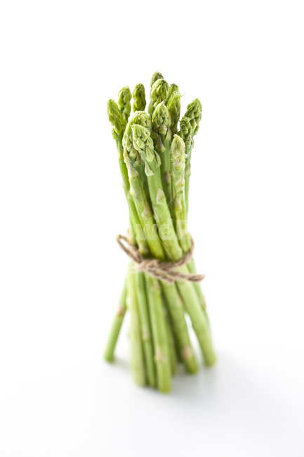 아스파라거스,asparagus,아스파라거스누끼,누끼,채소,plant,식물,vegetable,야채,food,식품,채소,야채,vegetables,연출,컨셉,콘셉,direction,concept