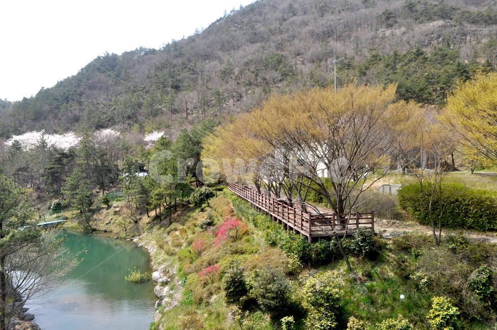 nature,자연,outdoors,옥외,river,tree