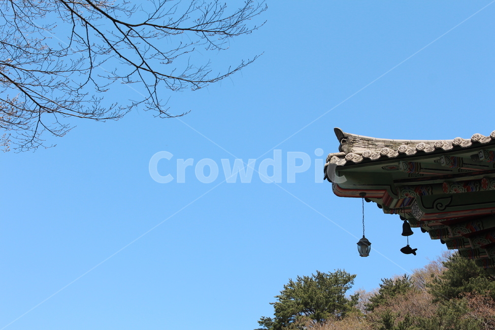 landscape bell,bell,Buddha,Buddhism,Temple,eaves,fish,temple,ten longevity symbols,temple bell,Buddhas Birthday