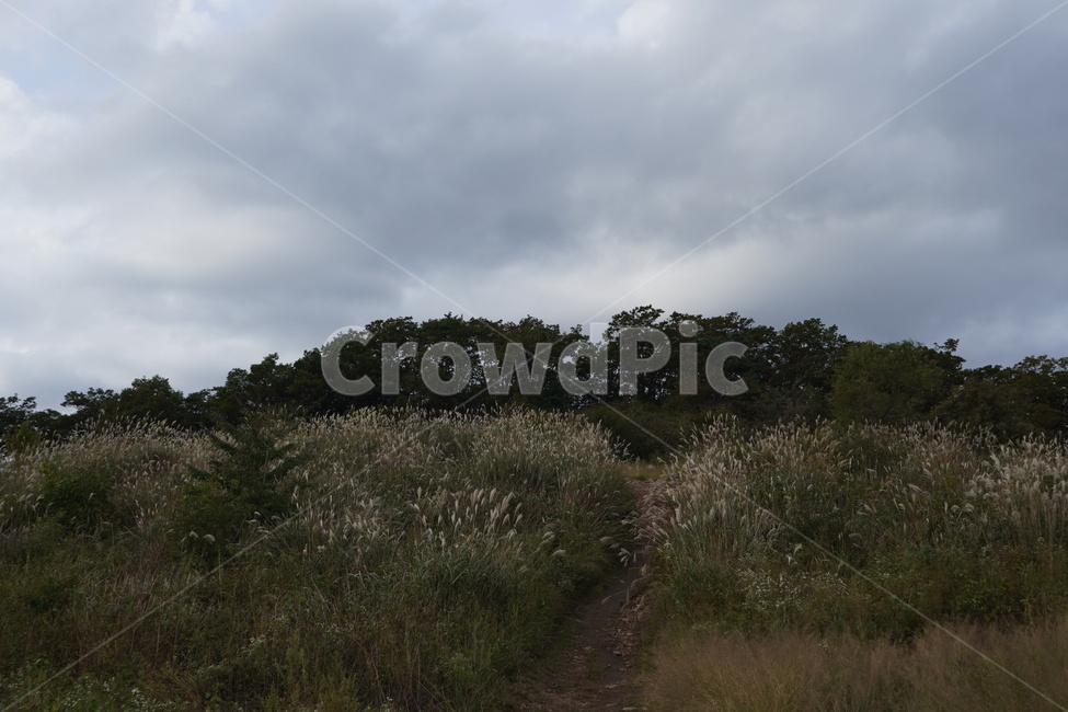 풍경,하늘,구름,자연,cloud,흙길,nature,자연,풍경,nature,landscape,gravel,자갈,road,도로,dirt road,outdoors,옥외