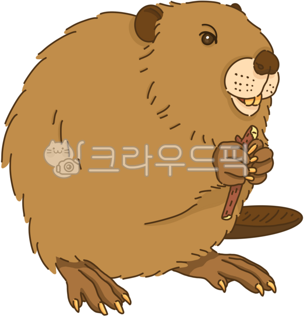 비버,비버그림,비버일러스트,비버png,비버그림png,비버일러스트png,갈색,브라운,갈색그림,털,야생동물,동물일러스트,동물,동물그림,동물png,자연,자연일러스트,동물일러스트png,beaver,zoo