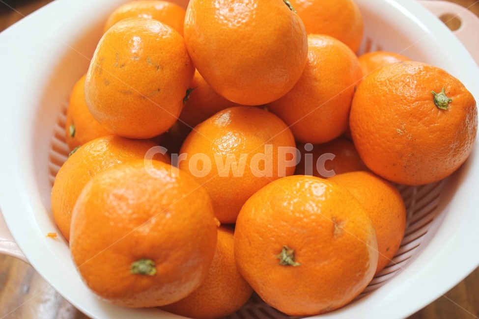 food,음식,감귤류과일,citrusfruit,fruit,orange,주황색,음식,식재료,요리,food,cook,meal,dishes,food reserves,과일,열매,fruit