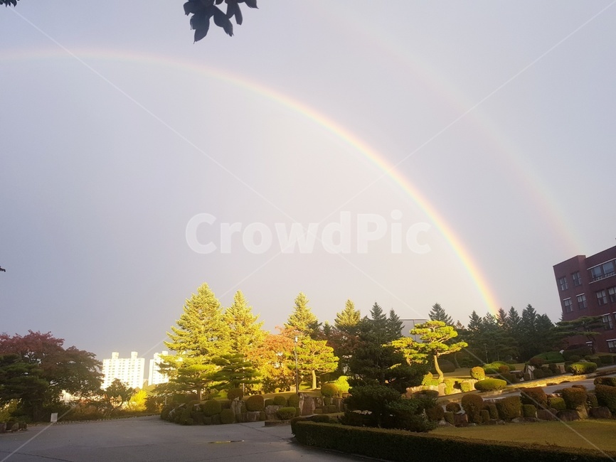 nature,자연,outdoors,옥외,plant,식물,tree,나무,무지개,쌍무지개,예쁨,하늘,반짝