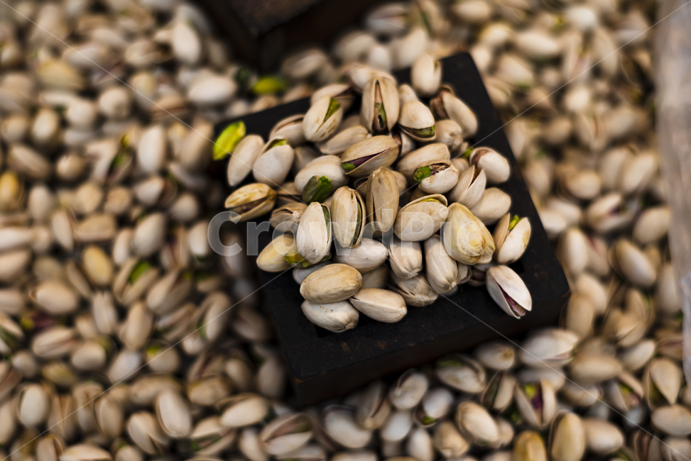 Take a tree,pistachio,nuts,snack,health,food