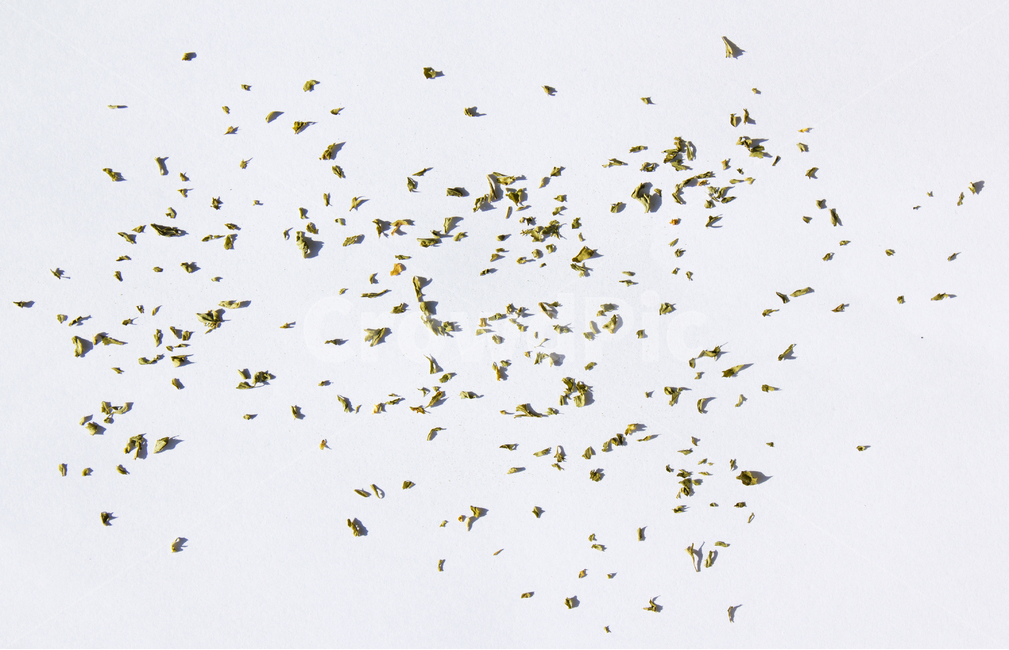 말린잎,cooking,parsleyleaf,양념,parsley,파슬리가루,파슬리,driedparsley,파슬리잎,dry,dryparsley,food,green,italian,leaf,macro,plant,powder,topview,식재료,closeup,요리재료,말린,마른,가루,파우더,이탈리안,탑,탑뷰,탑앵글