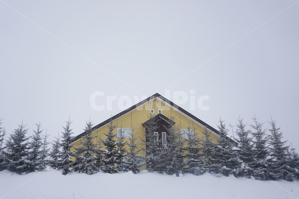 building,건물,nature,자연,housing,주택,plant,식물,tree,나무,전나무,rural,농촌,겨울,훗카이도,겨울,계절,winter,season
