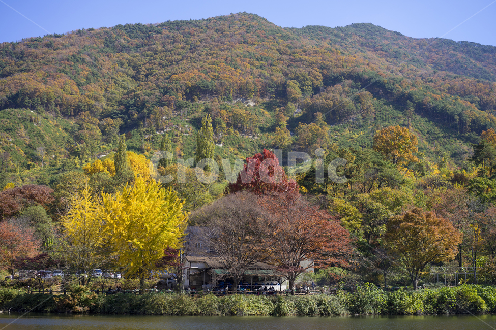 가을단풍,가을,반영,송곡소류지,저수지,가을,계절,fall,autumn,season,nature,자연,outdoors,옥외