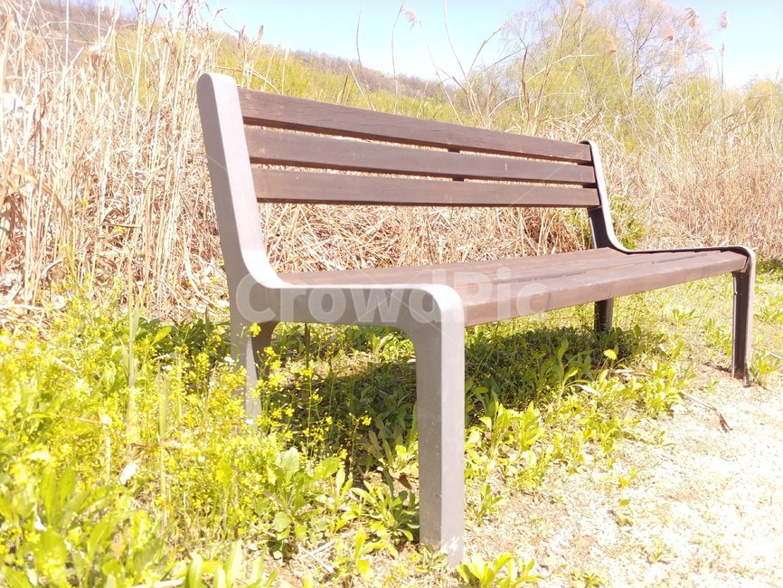 나무벤치,봄,한강,생태공원,나른함,봄날