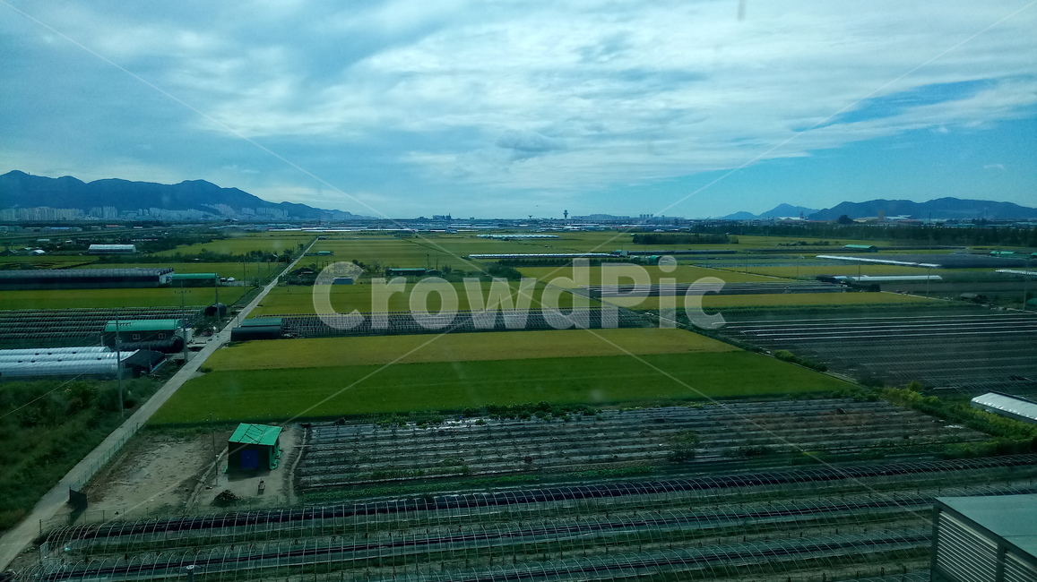 풍경,자연,푸른하늘,비닐하우스,논밭,산업,industry,industrial,농업,농사,agriculture,farming,farming industry
