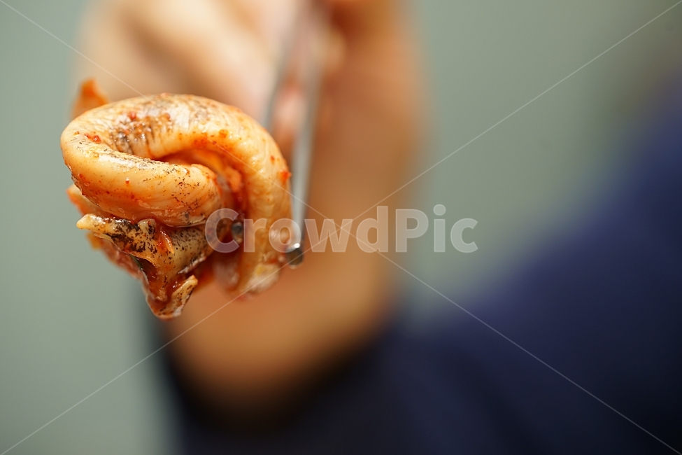 골뱅이,맥주안주,안주,골뱅이무침,매콤,별미,음식,푸드,술안주,무침,먹방,식사,먹거리,골뱅이안주,취향,먹빵,술자리,일상,손,음식,식재료,요리,food,cook,meal,dishes,food reserves,수산물,해산물,fishery products,seafood