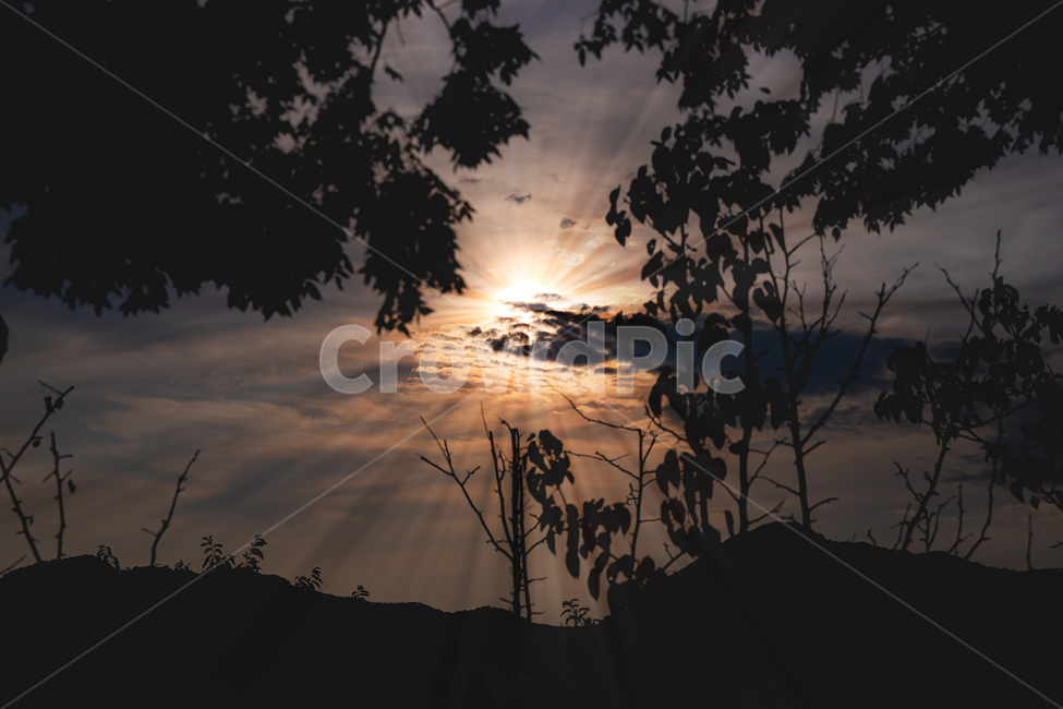 flare,light,빛,sunlight,플레어,햇빛,하늘