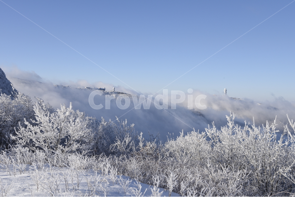 소백산,상고대,눈꽃,강우관측탑,겨울,겨울,계절,winter,season,자연,풍경,nature,landscape,한국자연풍경,한국자연경관,korea nature landscape,outdoors,옥외,ice,빙,snow,눈