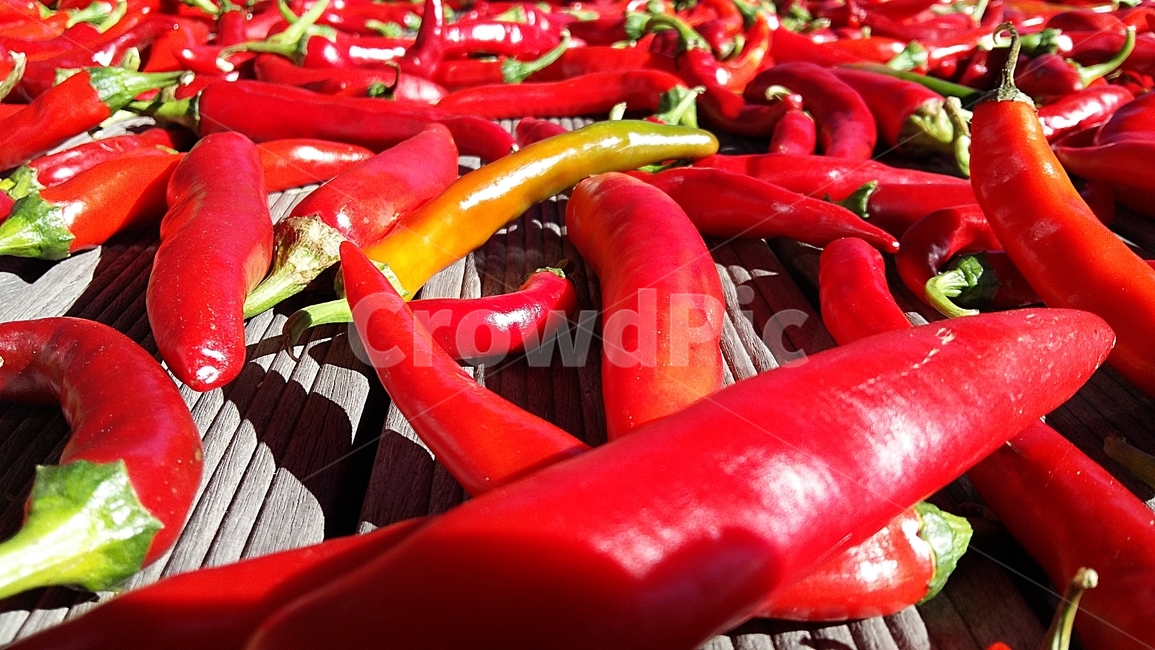 고추,채소,야채,태양초,빨간,가을,음식,말린,음식,식재료,요리,food,cook,meal,dishes,food reserves,채소,야채,vegetables