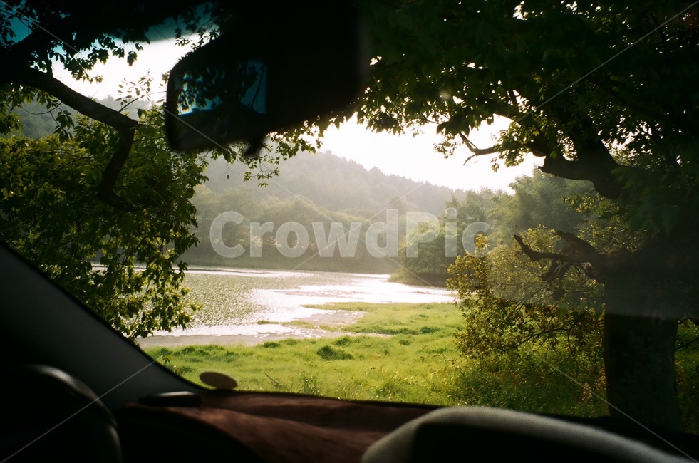 밀양,연못,필름카메라,햇빛,초록색,자연,풍경,nature,landscape,휴식,힐링,rest,relaxation,healing