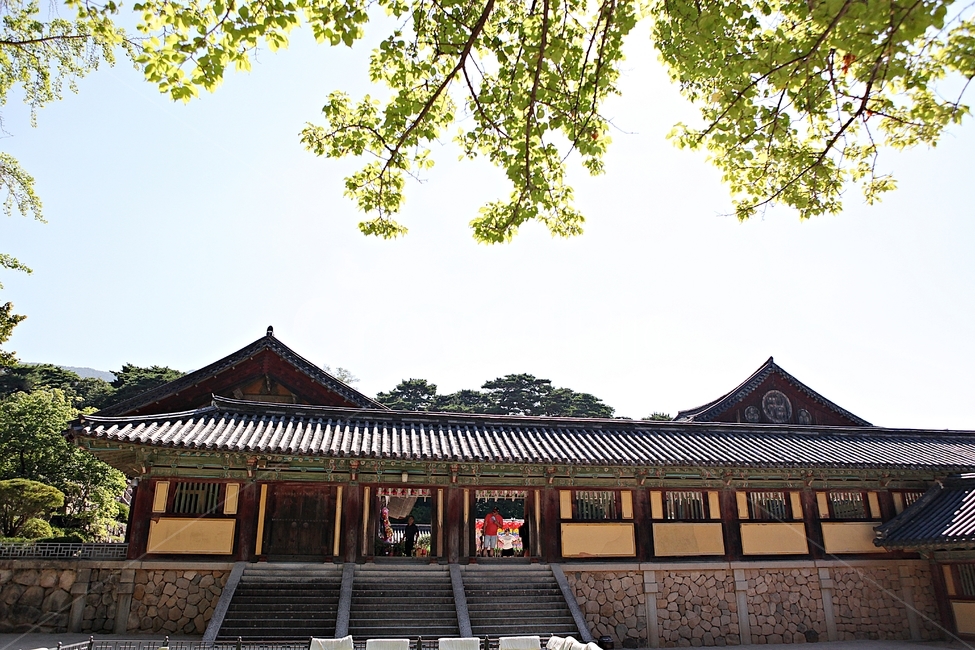 경주,불국사,절,사찰,국보,보물,전통,기와집,여름,집,한옥