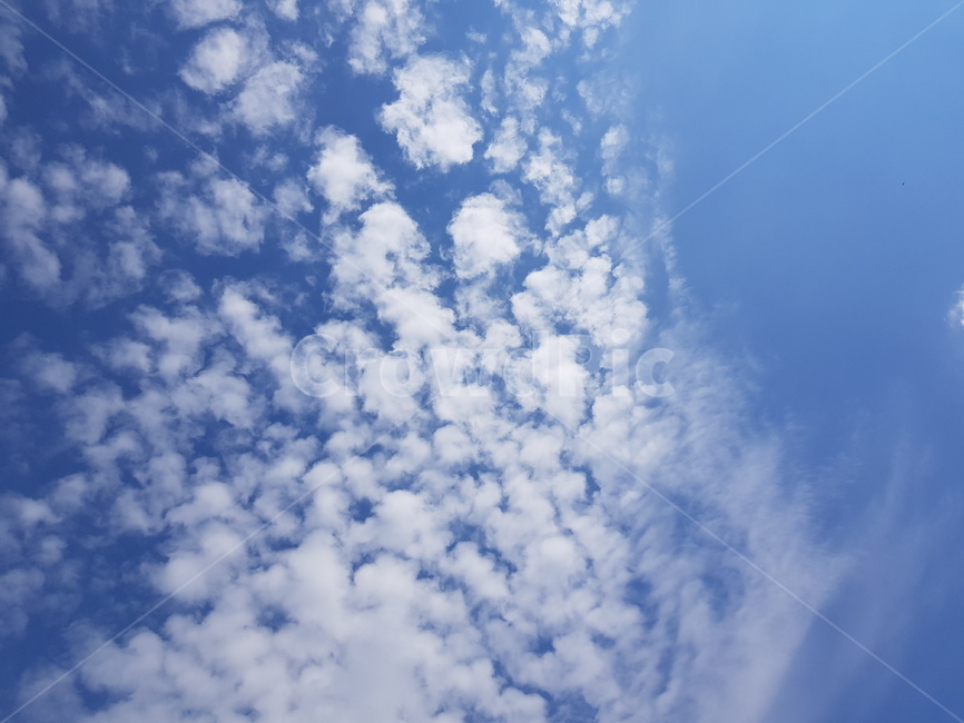 구름,하늘,파란하늘,뭉게구름,특이한구름,푸른하늘,파란,special,cloud,sky
