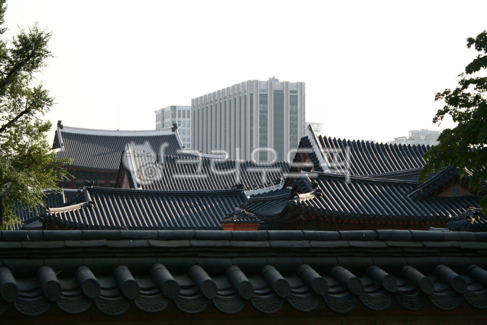 지붕,roof,건물,경복궁,기와지붕,기와,조선