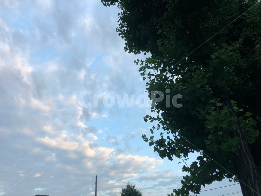 하늘,sky,구름,cloud,자연,nature