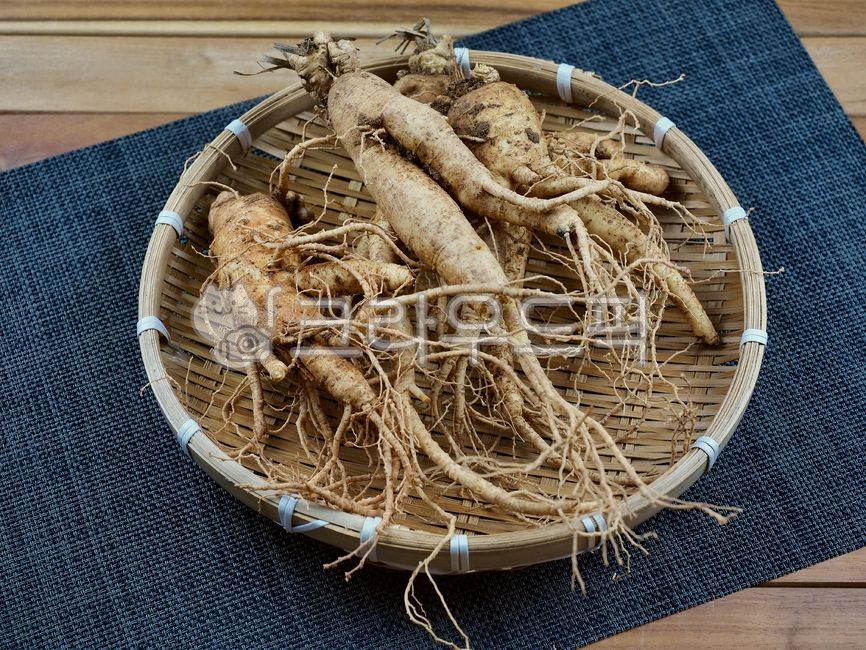 인삼,수삼,인삼뿌리,동양의학,한약재료,한약재,약재,뿌리,식물,뿌리식물,음식,건강식품,orientalmedicine,chinesemedicineingredients,herbalmedicine,ginseng,medicine,root,plant,food,healthfood,한의학,한약,한방