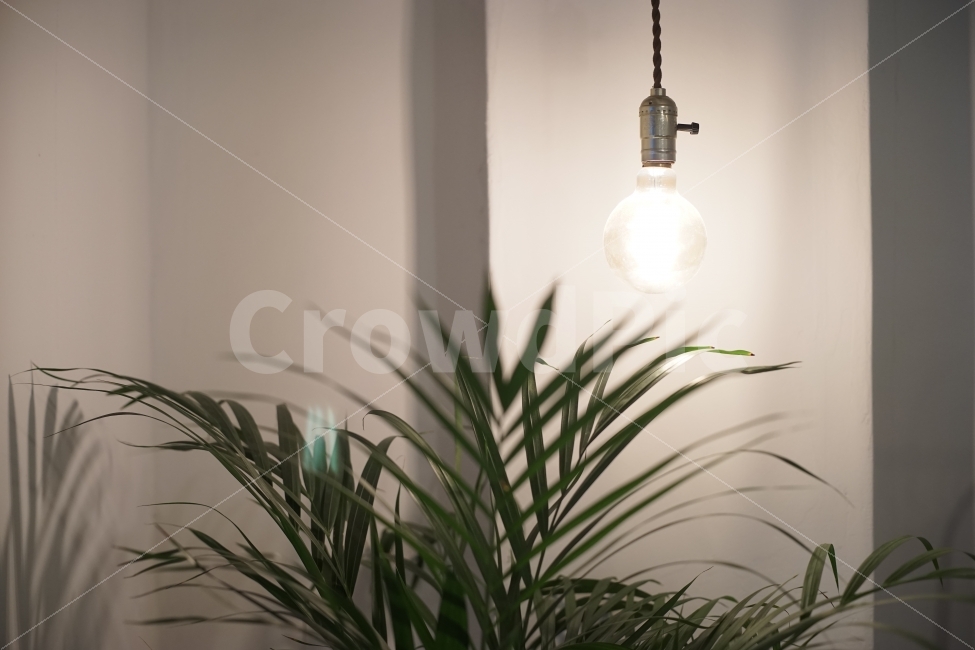 감성,카페,DIY,인테리어,조명,식물,실내,emotion,sensitive,cafe,interior,lamp,plant,green,indoor,식물,자연,plants,nature,실내용화초,화분,화초,house plant,인테리어,실내디자인,interior design