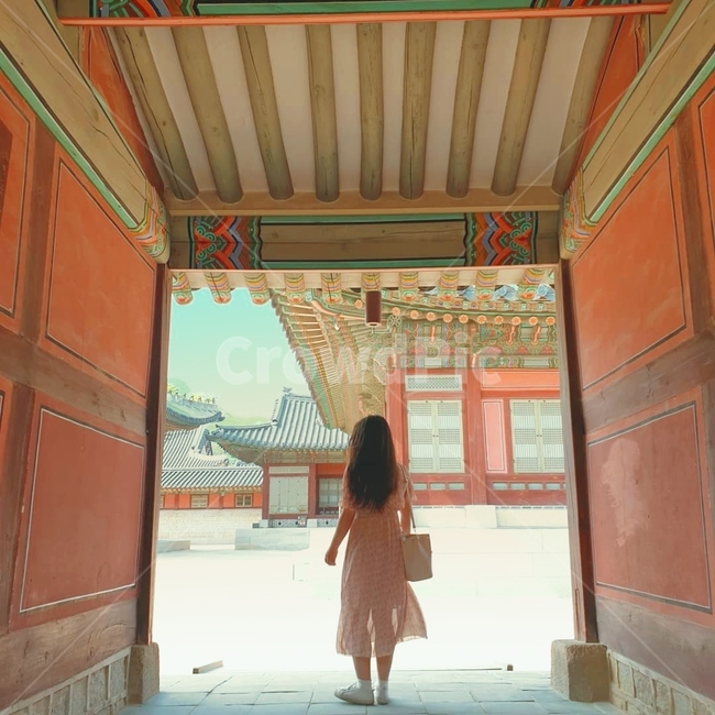 궁,경복궁,궁궐,창경궁,여성,뒷모습,문