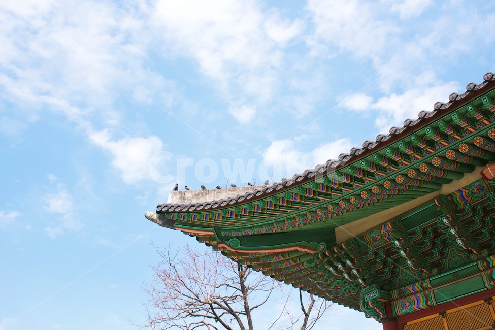 한옥,한국전통,하늘,벗꽃,구름,한국기와,koreantraditional,koreanculture,exterior,structure