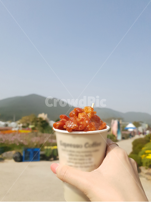 손,닭강정,자연,음식,길거리음식