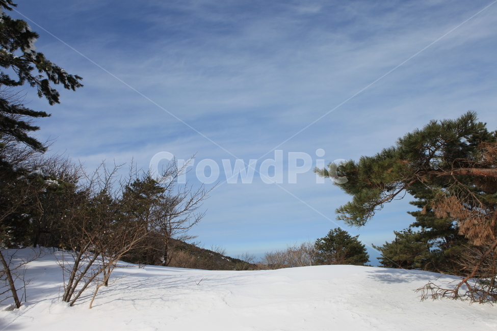 겨울,산,자연,풍경,눈,겨울,계절,winter,season,자연,풍경,nature,landscape,plant,식물,tree,나무