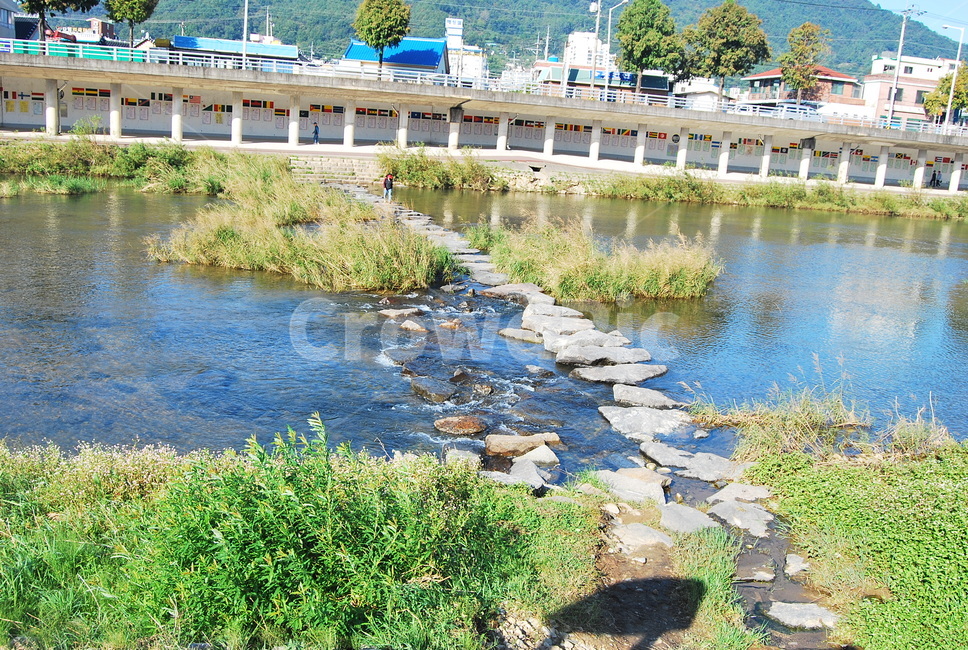 징검다리,강,돌다리,nature,water,물,자연,자연,풍경,nature,landscape,outdoors,옥외