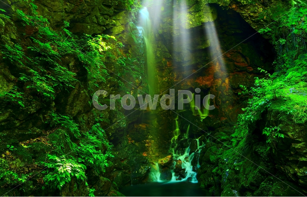 계곡,폭포,이끼,무건리,육백산,자연,풍경,nature,landscape,green,초록,light,빛