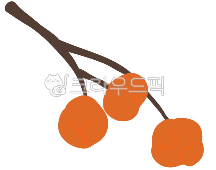감나무,감나무일러스트,감나무열매,감나무일러,감나무그림,감나무가을,가을감나무,감나무가지,감나무배경,감,가을,과일,단감,명절감,가을감