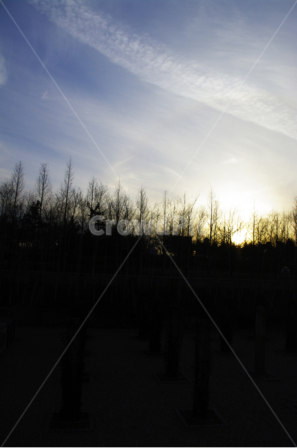 노을,일몰,sunset,하늘,구름,풍경,나무,식물,plant,자연,풍경,nature,landscape,outdoors,옥외,light,빛,flare,플레어