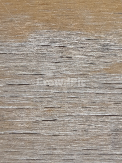 tree,pattern,construct,brown,background image,solid wood,wood grain,background,vintage,wooden wall,wood,wall