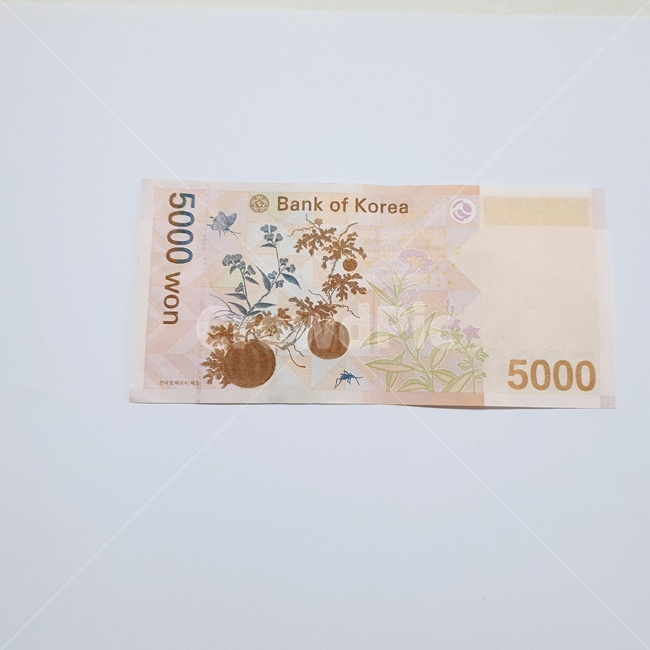 돈,지폐,종이돈,오천원,5000