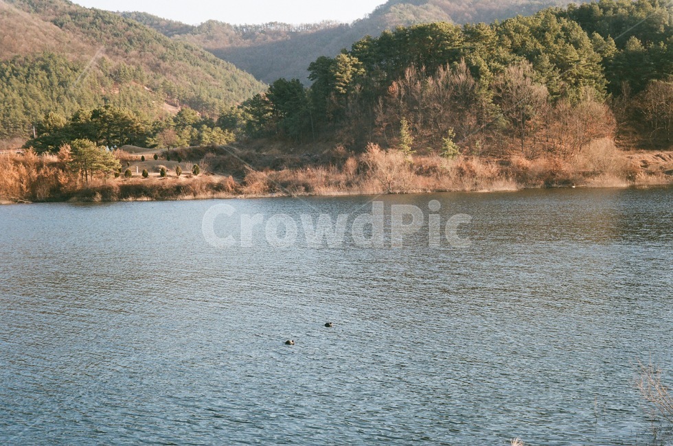호수,겨울,자연,쓸쓸한,외로운,자연,풍경,nature,landscape,water,물,outdoors,옥외