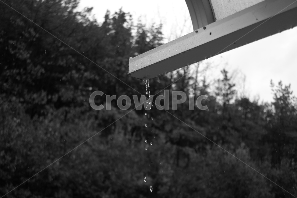 비,빗물,물방울,낙수,흑백,비,비오는날,rain,rainy,흑백,모노톤,monochrome,black and white