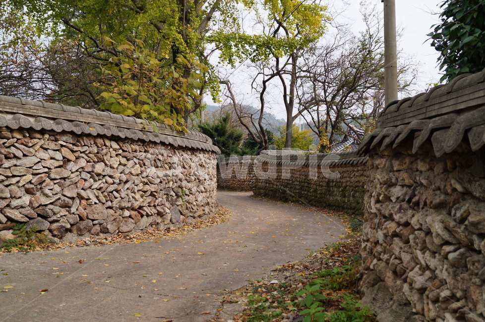 돌담,마을길,돌담길,시골길,담장,시골,마을,풍경,landscape,country,rural,town,골목길,alley,한국전통,한국문화,korean traditional,korean culture,walkway,보도,path,통로,wall,벽,flagstone,판석