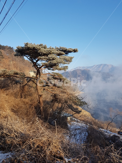 파로호,겨울파로호,파로호물안개,상고대,파로호상고대