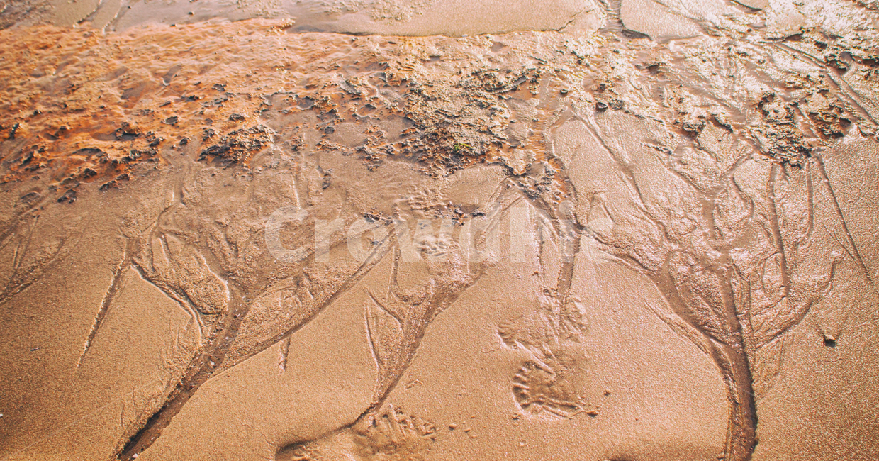 바닷가,해변,백사장,자연,풍경,sea,coast,beach,모래,sand,nature,landscape,해변,바다,beach,sea