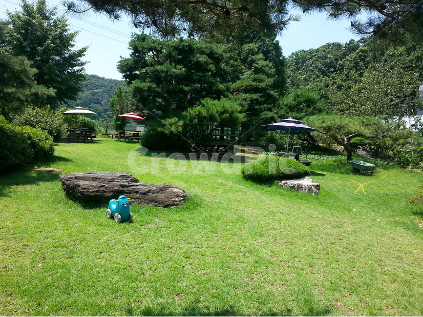 잔듸,바위,파라솔,잔디,나무,장난감,말,소나무,숲,전선,잔디밭,호스,finetree,tree,grass,horse,자연,풍경,nature,landscape,plant,식물,lawn