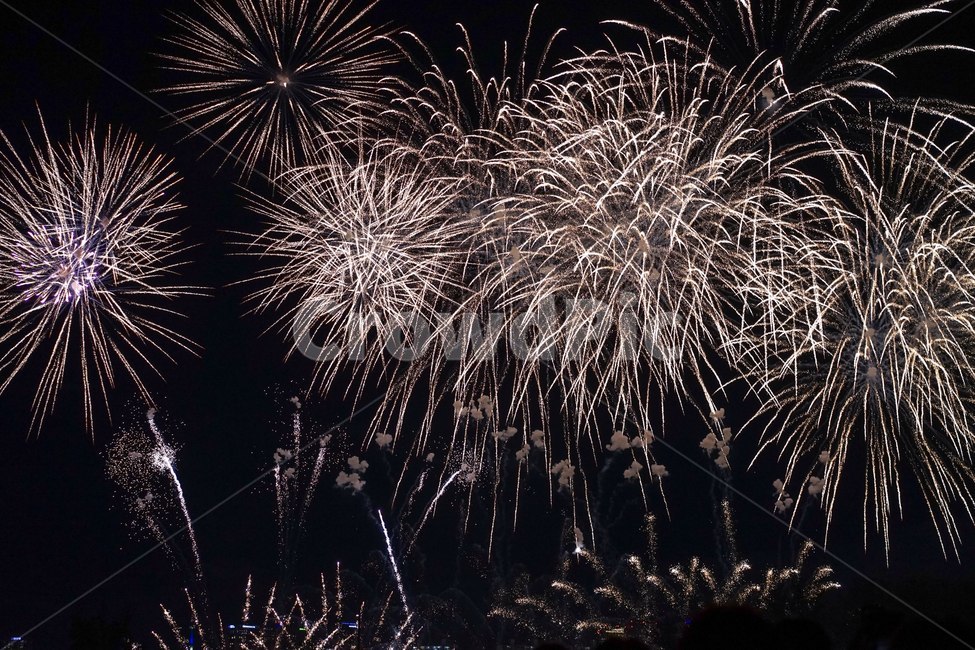 축제,불꽃놀이,불꽃축제,하늘,폭죽,야경,빛,행사,야경,밤,풍경,nightscape,night,landscape,축제,행사,festival,carnival,event,nature,자연,outdoors,옥외