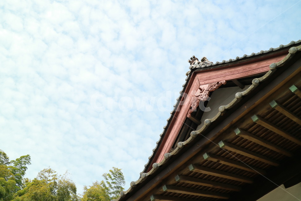 하늘,처마,한옥,기와,목재,목재건물,전라도,군산
